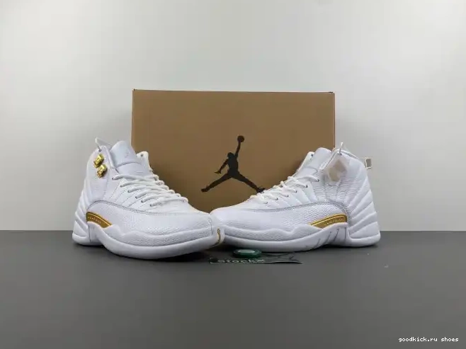 Rep WMNS 12 FD9101-007 Air Jordan Phantom 0521